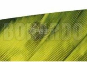 GATEWAY PENNE NATURALI 5" PARABOLA TREBARK YELLOW/BLACK