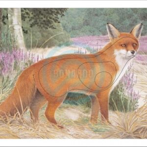 JVD BERSAGLIO ANIMALE VOLPE