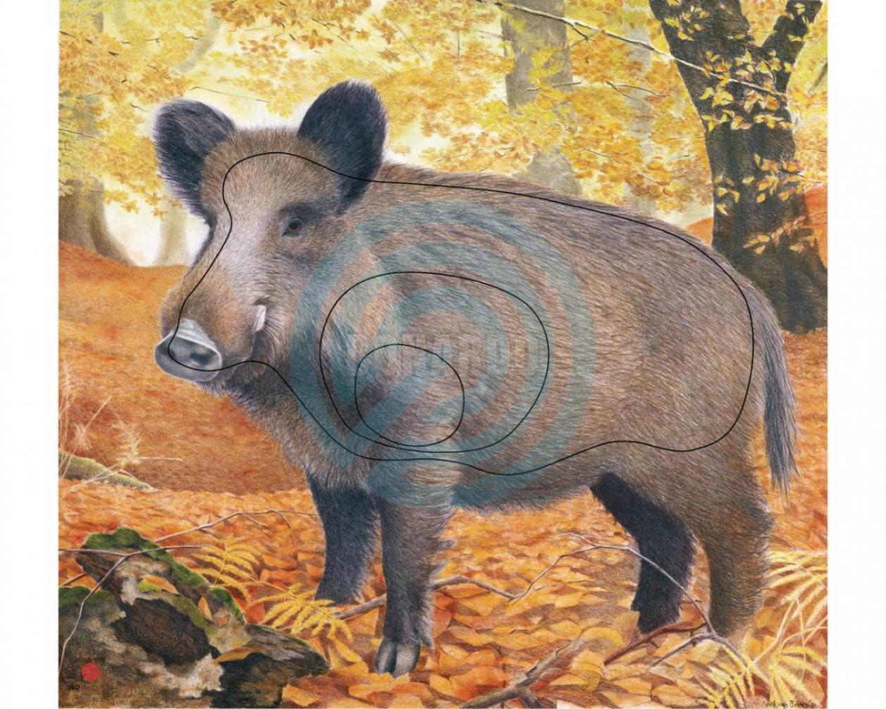 JVD BERSAGLIO ANIMALE CINGHIALE