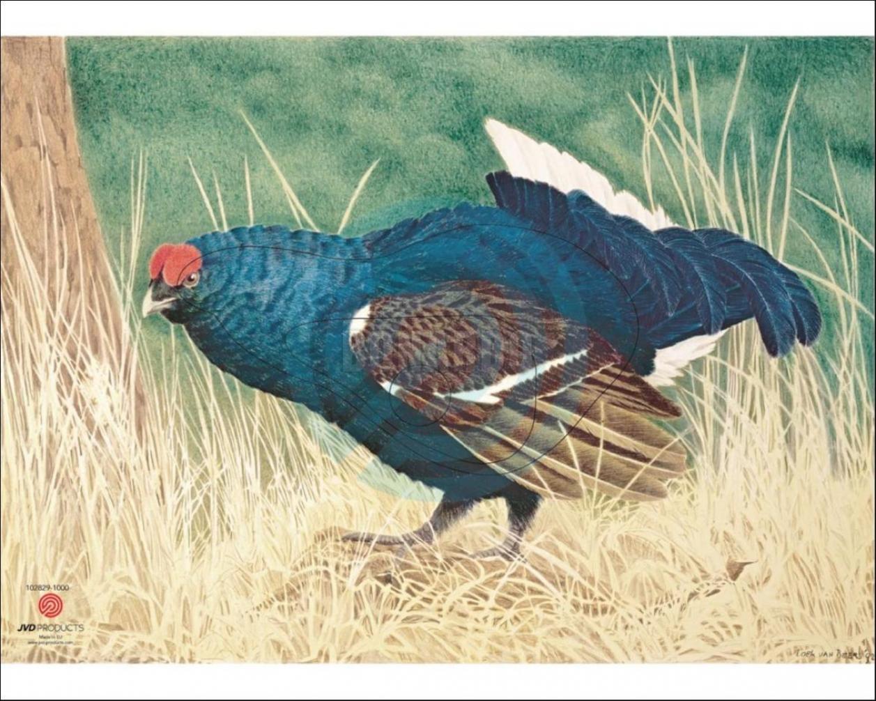 JVD BERSAGLIO ANIMALE GALLO FORCELLO