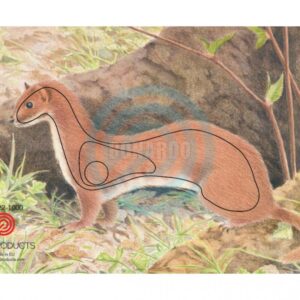 JVD BERSAGLIO ANIMALE ERMELLINO