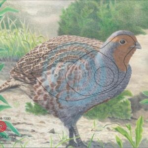 JVD BERSAGLIO ANIMALE STARNA