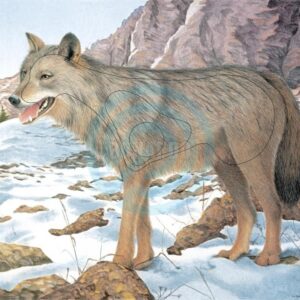 JVD BERSAGLIO ANIMALE LUPO