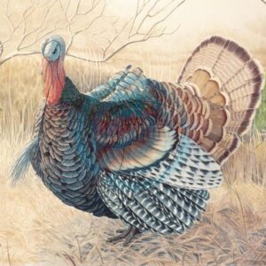 JVD BERSAGLIO ANIMALE TACCHINO