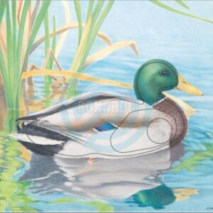 JVD BERSAGLIO ANIMALE GERMANO REALE MASCHIO