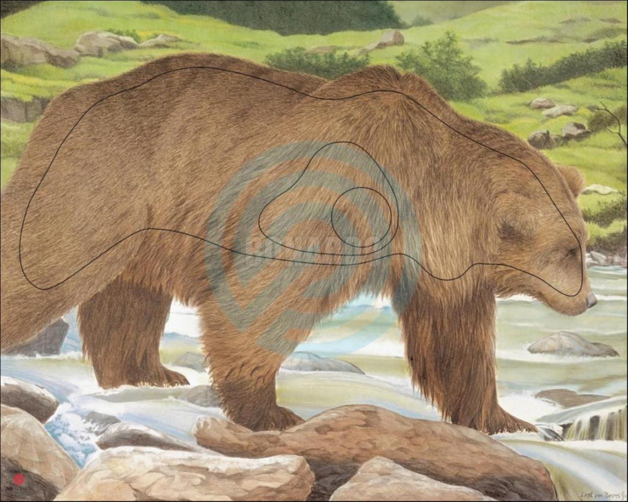 JVD BERSAGLIO ANIMALE ORSO