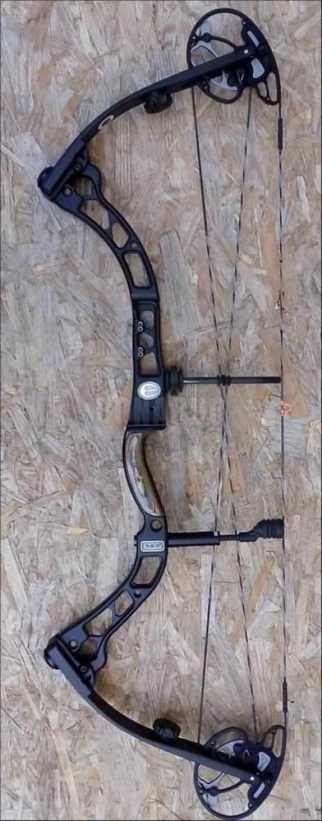 ELITE ARCHERY ARCO COMPOUND PURE 50/60# RH B.O.