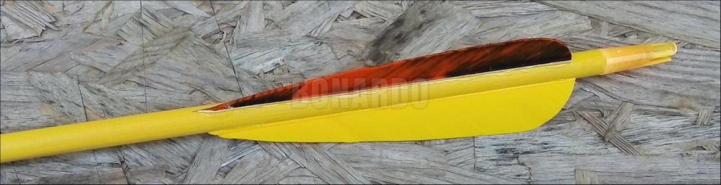BONARDO ARCHERY FRECCIA IN CEDRO ALTA VISIBILITA' 11/32" 45/50#  YL/TRE-ORANGE