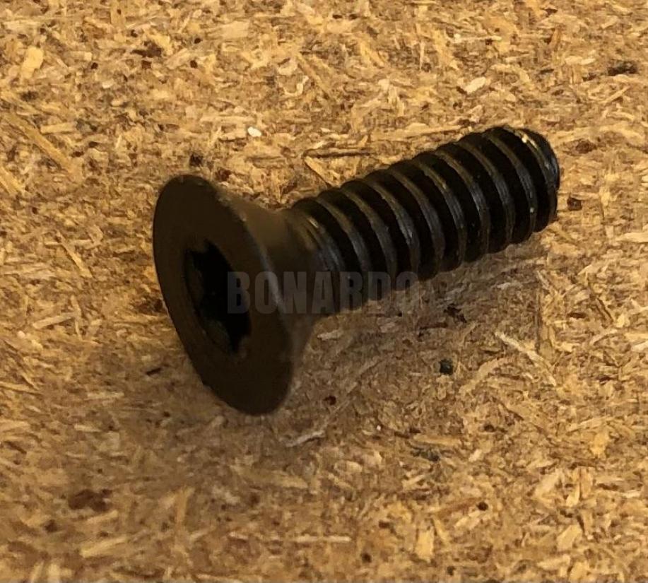 HOYT VITE CAM 6/32" TORX