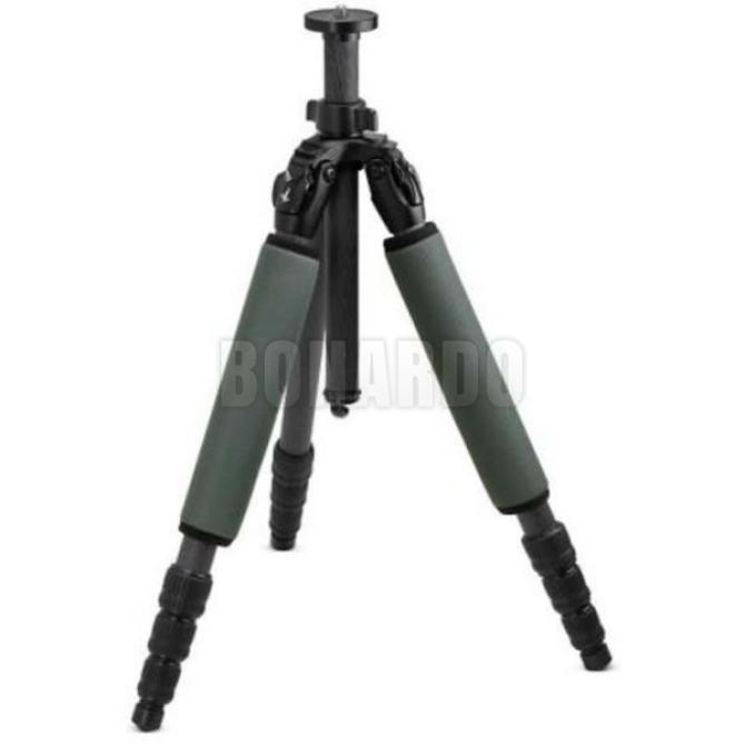 SWAROVSKI  BIPIEDE CCT