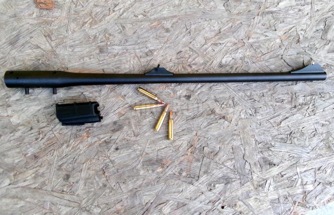 BLASER CANNA R8 223R 580mm CON MIRE