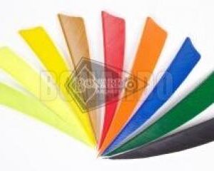 GATEWAY PENNE NATURALI 4"SCUDO LEMON LIME