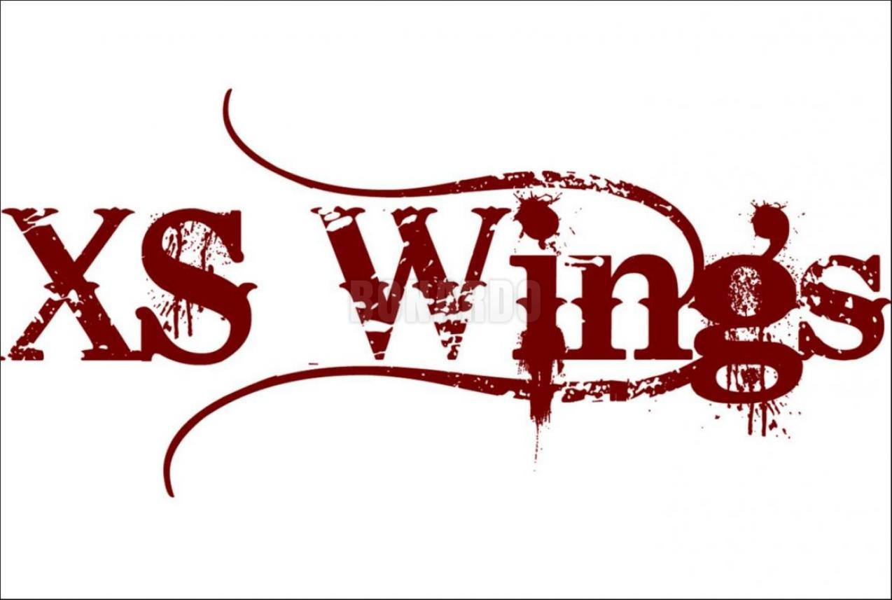 XS-WINGS ALETTE SPIN 50 60 70 100 mm CONFEZIONE 50 PEZZI