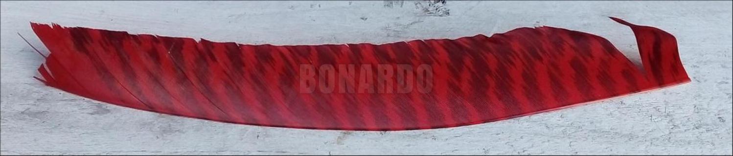 GATEWAY PENNE NATURALI 10" FULL LEINGHT BARRATE RED/BLACK