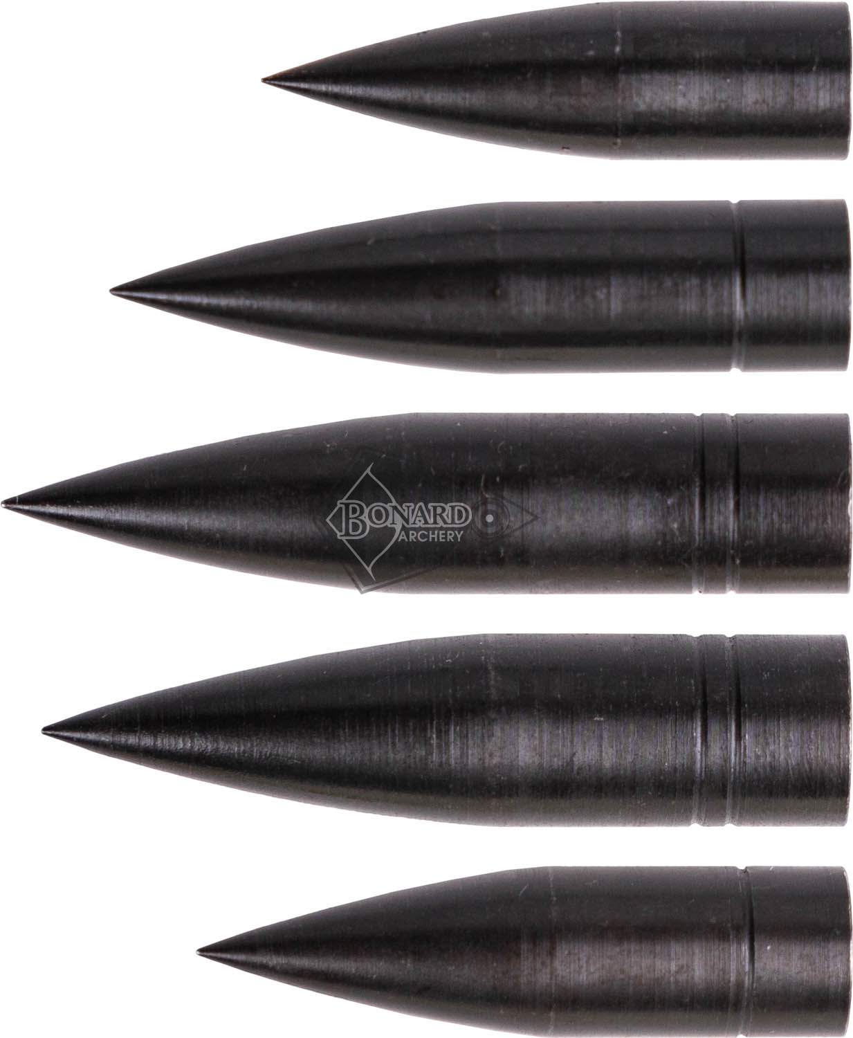 WILD MOUNTAIN PUNTA OGIVA 3D