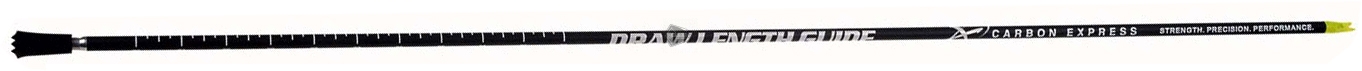 CARBON EXPRESS ASTA GRADUATA MISURA ALLUNGO